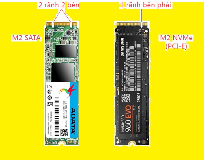 hình dạng ổ cứng ssd M.2 Sata và M.2 NVMe OCIe
